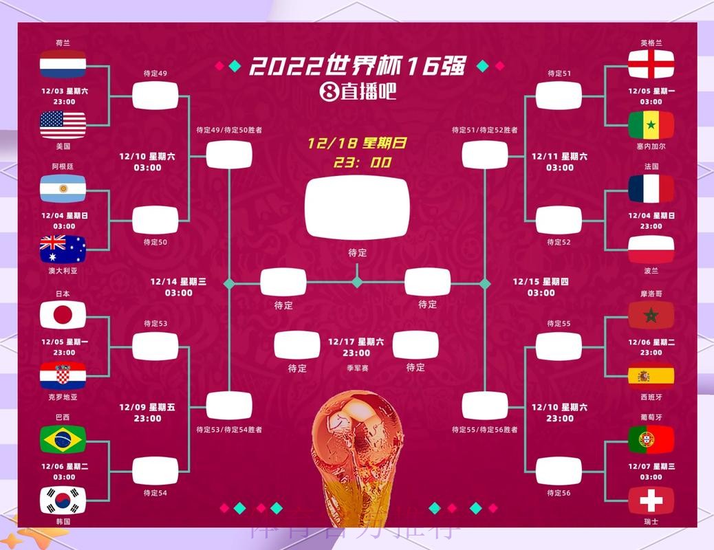 全面解读世界杯预测平台的优势与挑战
